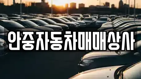 경기 평택시 포승읍 중고차매매 전문 안중자동차매매상사