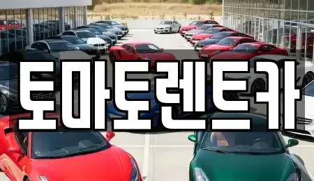 경기 포천시 창수면 렌트카 전문 토마토렌트카