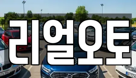 경기 포천시 창수면 중고차매매 전문 리얼오토