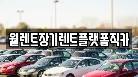 경기 하남시 상사창동 장기렌트카 전문 월렌트장기렌트플랫폼직카