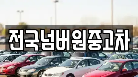 경기 하남시 상사창동 중고차매매 전문 전국넘버원중고차