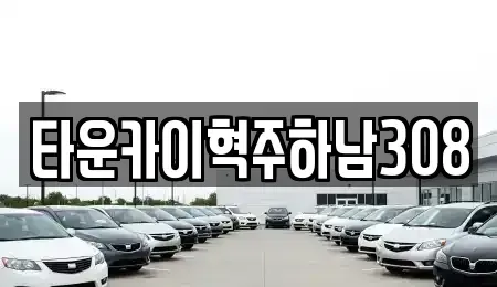 경기 하남시 선동 단기렌트카 전문 타운카이혁주하남308