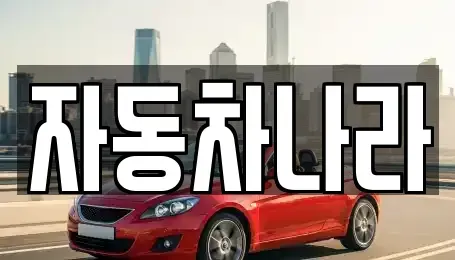 경기 하남시 선동 중고차매매 전문 자동차나라