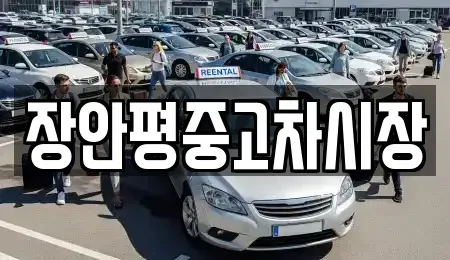 경기 하남시 선동 중고차매매 전문 장안평중고차시장