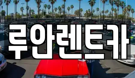 경기 화성시 기안동 장기렌트카 전문 루안렌트카