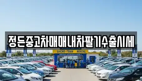 경기 화성시 기안동 중고차 전문 정든중고차매매내차팔기수출시세