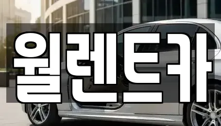 경기 화성시 팔탄면 렌트카 전문 월렌트카