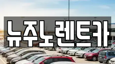 경기도 고양시 일산동구 단기렌트카 전문 뉴주노렌트카