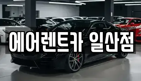 경기도 고양시 일산동구 렌트카 전문 에어렌트카 일산점