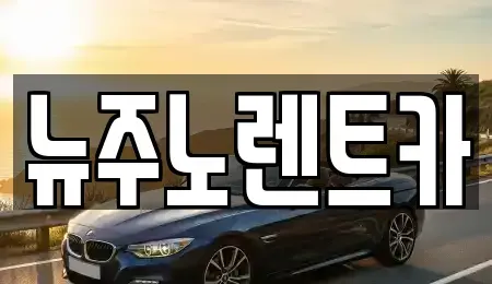 경기도 고양시 일산동구 산황동 장기렌트카 전문 뉴주노렌트카