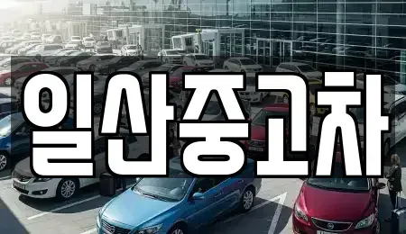 경기도 고양시 일산동구 산황동 중고차 전문 일산중고차