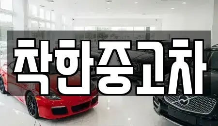 경기도 고양시 일산동구 산황동 중고차 전문 착한중고차