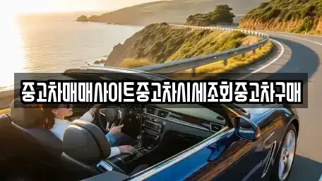 경기도 고양시 일산동구 산황동 중고차매매 전문 중고차매매사이트중고차시세조회중고차구매