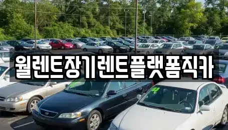경기도 고양시 일산동구 장기렌트카 전문 월렌트장기렌트플랫폼직카