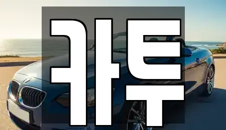 경기도 고양시 일산동구 장기렌트카 전문 카투