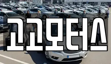 경기도 고양시 일산동구 중고차 전문 고고모터스