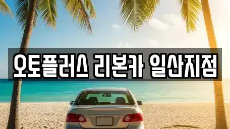 경기도 고양시 일산동구 중고차 전문 오토플러스 리본카 일산지점