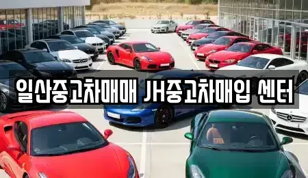 경기도 고양시 일산동구 중고차매입 전문 일산중고차매매 JH중고차매입 센터