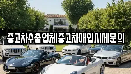 경기도 고양시 일산동구 중고차매입 전문 중고차수출업체중고차매입시세문의