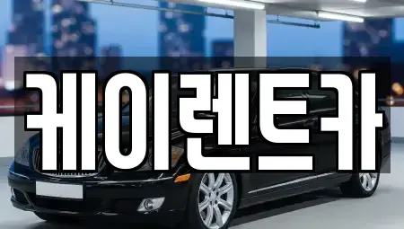 경기도 고양시 일산서구 대화동 단기렌트카 전문 케이렌트카