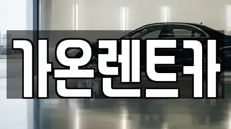 경기도 고양시 일산서구 대화동 장기렌트카 전문 가온렌트카