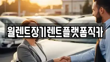 경기도 고양시 일산서구 대화동 장기렌트카 전문 월렌트장기렌트플랫폼직카