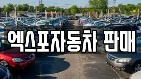 경기도 고양시 일산서구 대화동 중고차 전문 엑스포자동차 판매