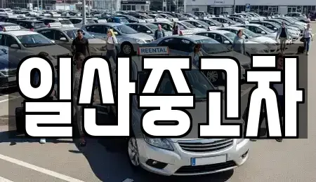 경기도 고양시 일산서구 대화동 중고차 전문 일산중고차