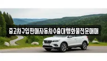 경기도 고양시 일산서구 대화동 중고차 전문 중고차구입판매자동차수출대행화물전문매매