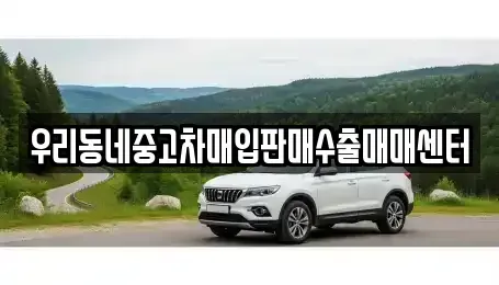 경기도 고양시 일산서구 대화동 중고차매입 전문 우리동네중고차매입판매수출매매센터