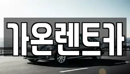 경기도 고양시 일산서구 렌트카 전문 가온렌트카