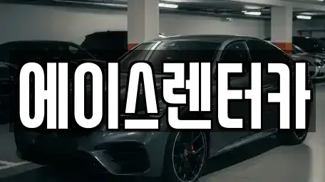 경기도 고양시 일산서구 렌트카 전문 에이스렌터카