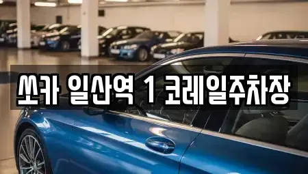 경기도 고양시 일산서구 일산동 렌트카 전문 쏘카 일산역 1 코레일주차장