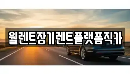 경기도 고양시 일산서구 일산동 렌트카 전문 월렌트장기렌트플랫폼직카