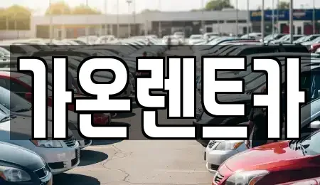 경기도 고양시 일산서구 일산동 장기렌트카 전문 가온렌트카
