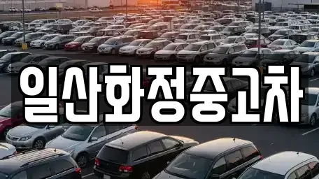 경기도 고양시 일산서구 일산동 중고차 전문 일산화정중고차