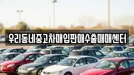 경기도 고양시 일산서구 일산동 중고차매입 전문 우리동네중고차매입판매수출매매센터