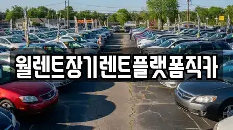 경기도 고양시 일산서구 장기렌트카 전문 월렌트장기렌트플랫폼직카