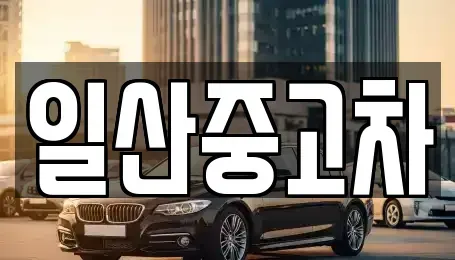 경기도 고양시 일산서구 중고차매매 전문 일산중고차