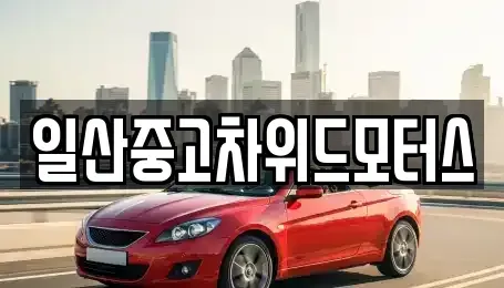 경기도 고양시 일산서구 중고차매매 전문 일산중고차위드모터스