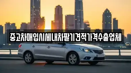 경기도 고양시 일산서구 중고차매입 전문 중고차매입시세내차팔기견적가격수출업체