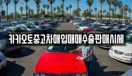 경기도 고양시 일산서구 중고차매입 전문 카카오토중고차매입매매수출판매시세
