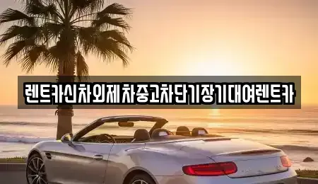 경기도 과천시 과천동 장기렌트카 전문 렌트카신차외제차중고차단기장기대여렌트카