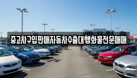 경기도 과천시 과천동 중고차 전문 중고차구입판매자동차수출대행화물전문매매
