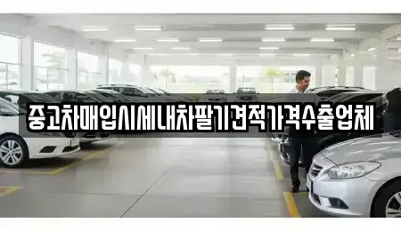 경기도 과천시 과천동 중고차 전문 중고차매입시세내차팔기견적가격수출업체