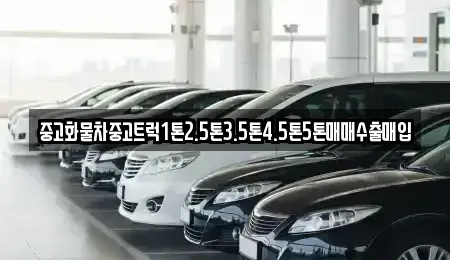 경기도 과천시 과천동 중고차 전문 중고화물차중고트럭1톤2.5톤3.5톤4.5톤5톤매매수출매입