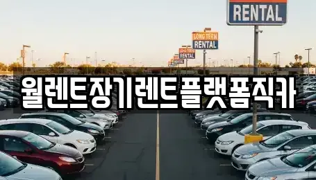경기도 광주시 목동 렌트카 전문 월렌트장기렌트플랫폼직카