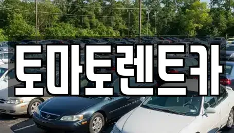 경기도 광주시 목동 렌트카,단기렌트카,장기렌트카,중고차,중고차매매,중고차매입