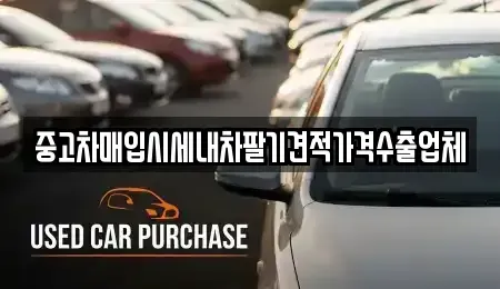 경기도 광주시 목동 중고차매입 전문 중고차매입시세내차팔기견적가격수출업체