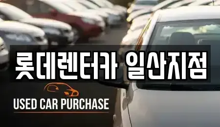 경기도 김포시 단기렌트카 전문 롯데렌터카 일산지점
